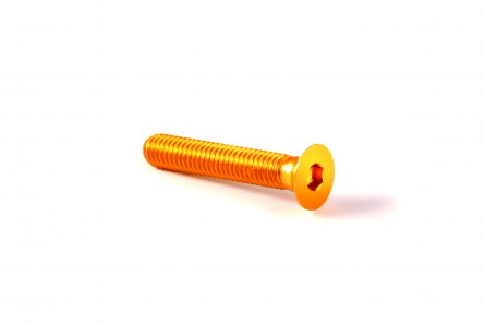 X-Cap TORX Spare Bolt